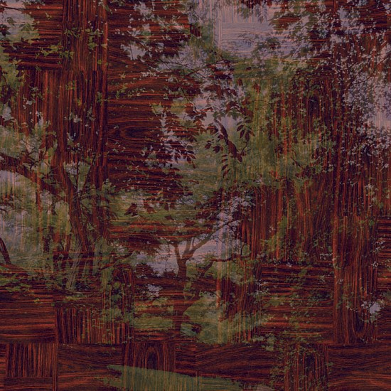 Gary Carsley, D.64 Strawberry Fields, 2007
Lambda monoprint, 47.25 x 47.25 inches (120 x 120 cm)