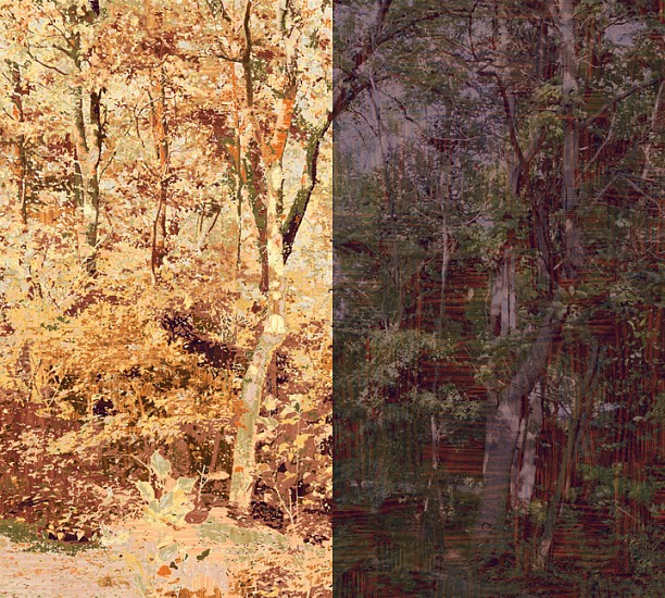 Gary Carsley, D.72 Central Park (The Ramble), 2008
Lambda monoprint, 86 x 94 inches (218 x 239 cm)