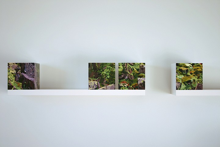 Maria Park, CN Shelf Objects 7, 8, 9, and 10, 2010
Acrylic on acrylite, 7 inch (18cm) cubes