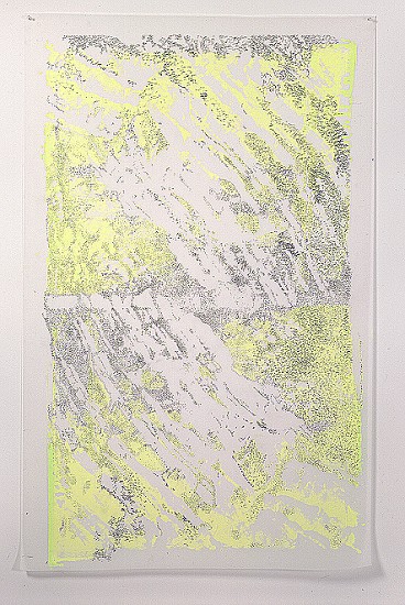 Fran Siegel, Strata 07, 2004
Graphite and silkscreen on translucent duralar, 60 x 40 inches (152 x 102 cm)