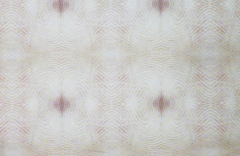Brice Brown, Wallpaper, 2012
Archival pigment print, Dimensions variable, each section: 42 inches in width (107 cm)